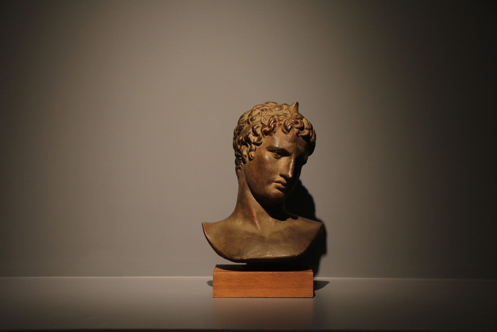 Plaster bust