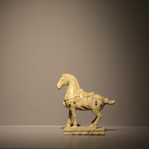 Tang horse